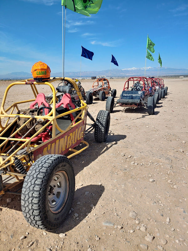 many dune buggies in the desert