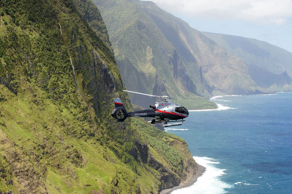 Hana Rainforest Landing.JPG