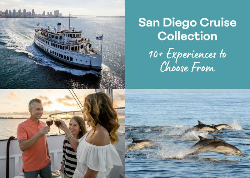 MCV TILE San Diego Cruise Tile.jpg