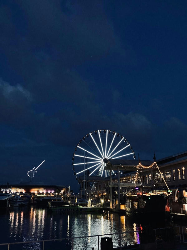 miami-boardwalk-and-ferris-wheel