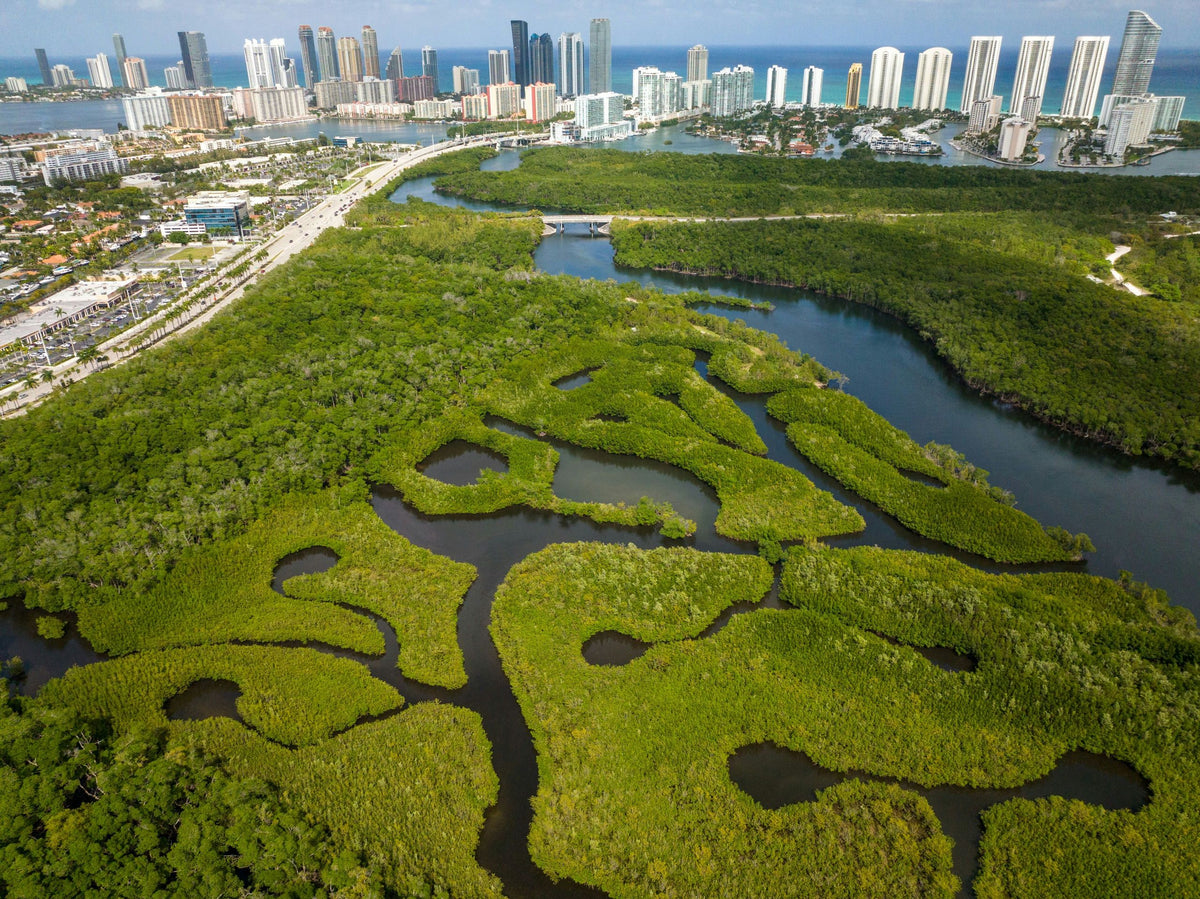miami-drone-image-jpeg