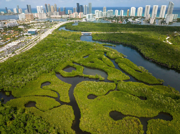 miami-drone-image-jpeg