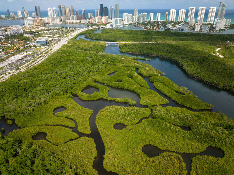 miami-drone-image-jpeg