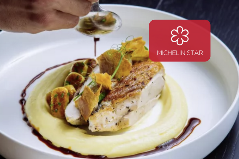 miami fish dish with mich logo