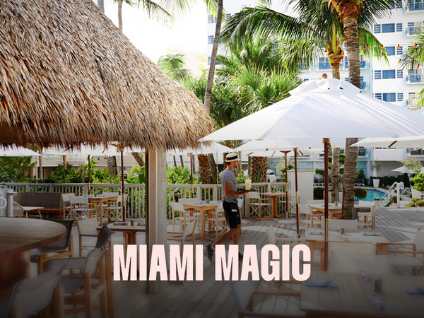 miami magic 1 night.png