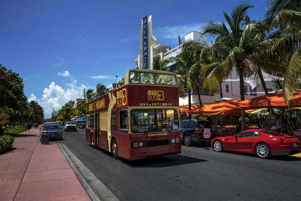 Miami_bus tour.jpeg