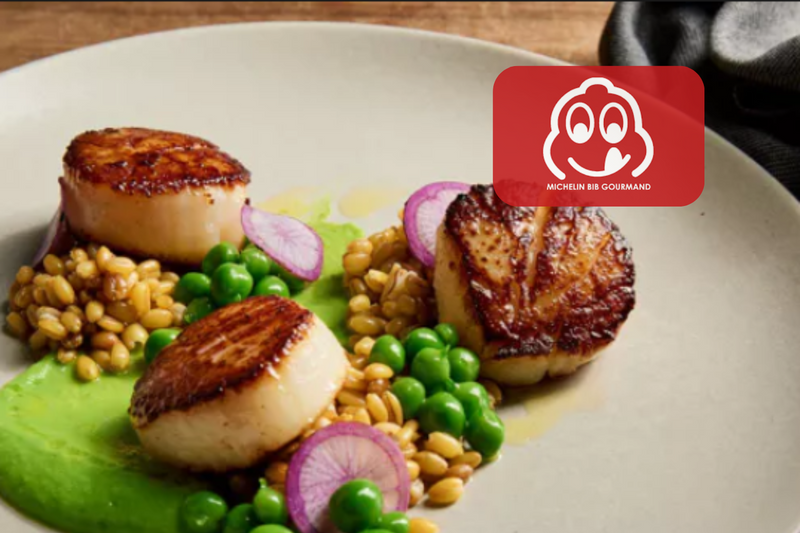 michelin bib SF cover scallops