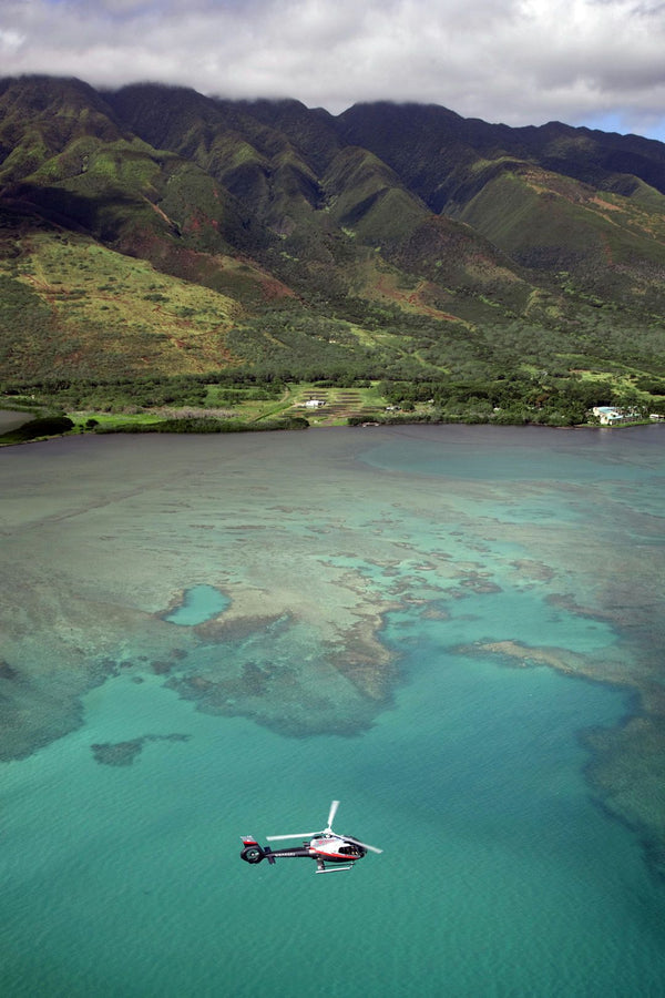 Molokai 1.15.34.jpg