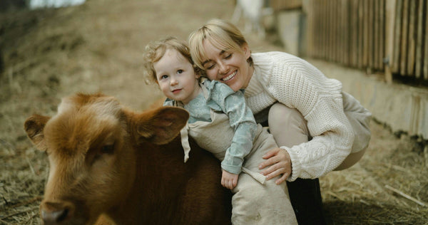 mother and child bonding with a calf