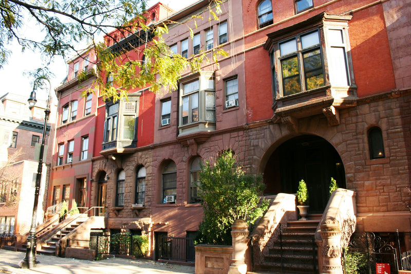 Mount Morris Park Area.jpg