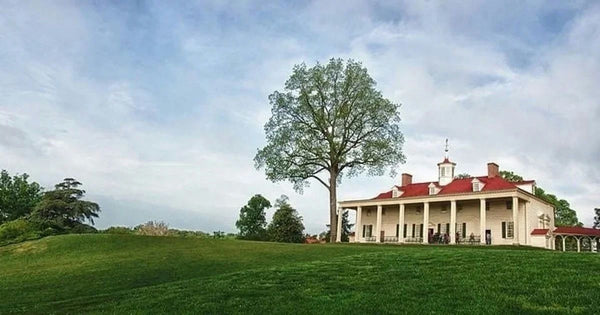 Mt-Vernon-and-Arlington-Cemetery-Tour.jpeg