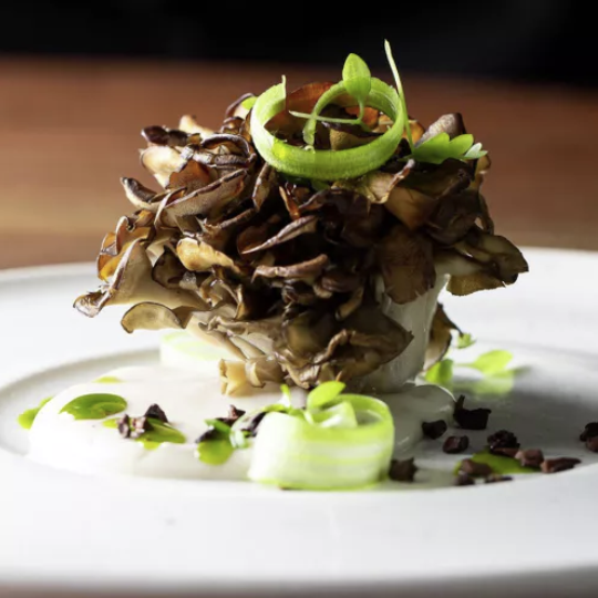 mushrool-plate