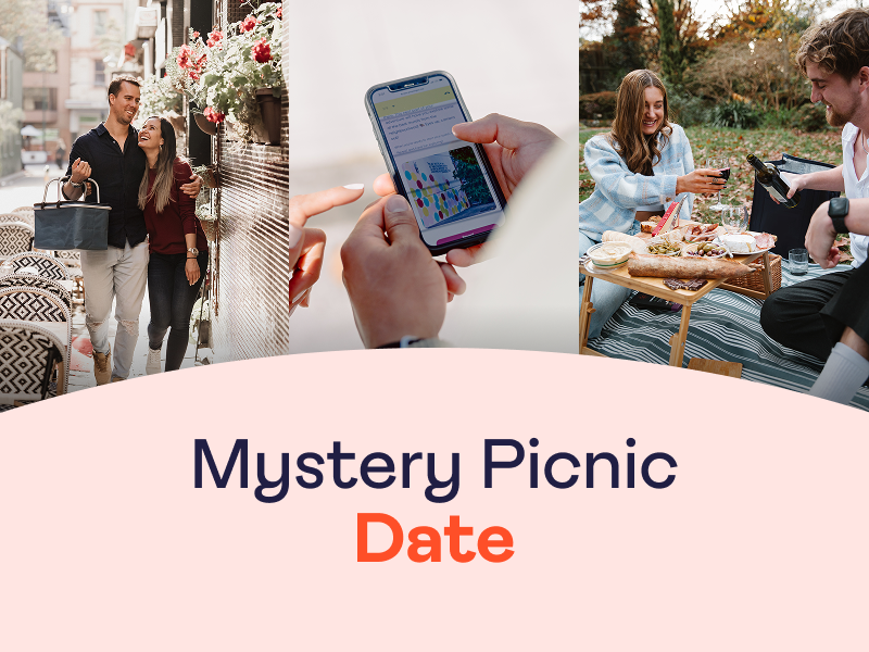mystery-picnic-png