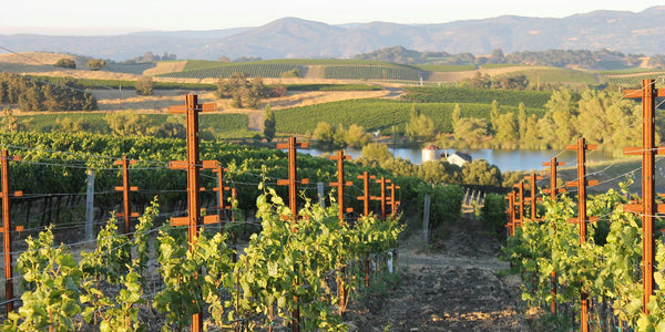 napa.jpeg