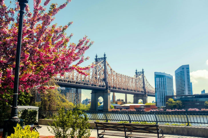 Stroll Through Hell's Kitchen Food Tour