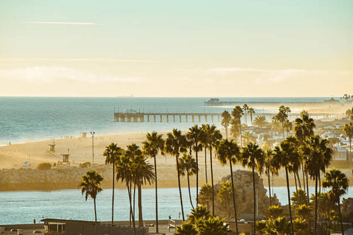 newport-beach-with-palm-trees