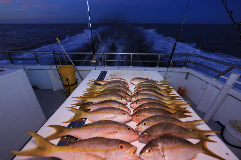 night-fishing-trip