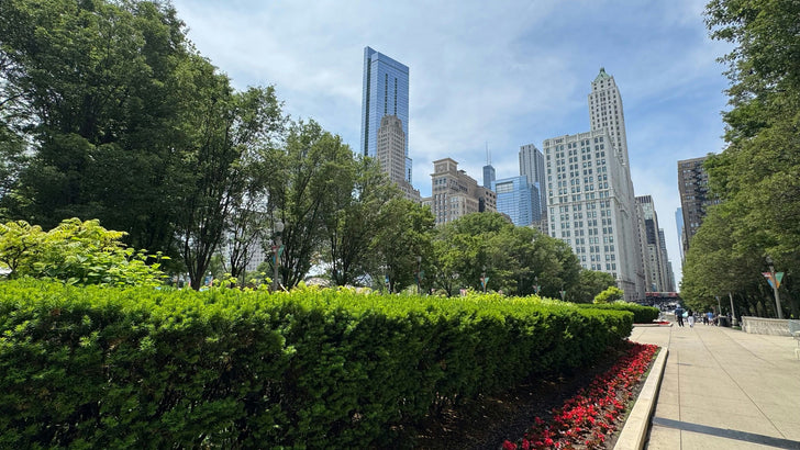 Magnificent Mile Architecture Walking Tour With 360 Chicago Upgrade