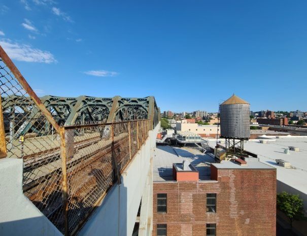 nyc highline.jpg