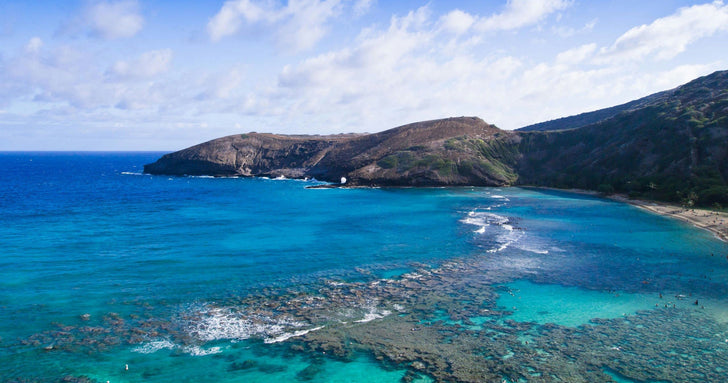 Oahu Grand Circle Island Tour – Waimea Valley & Dole Plantation
