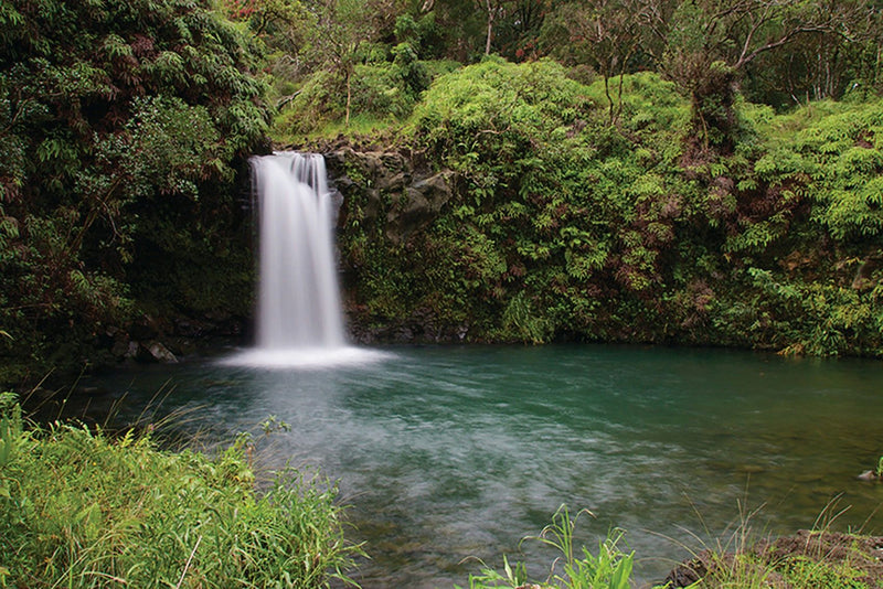 Oahu to Kahului- Road to Hana Adventure Tour (M2-1D).jpeg