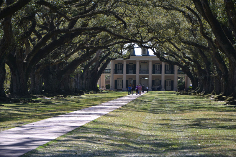 oak-valley-plantation-front-yard