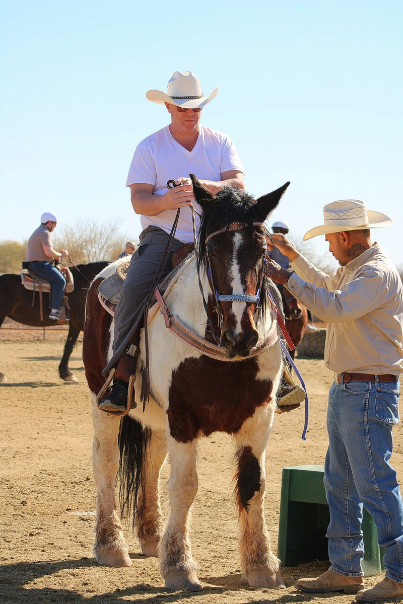 on-the-horse
