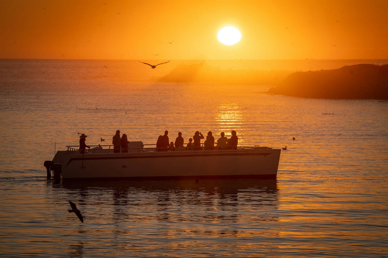orange-sunset-and-boat-jpeg