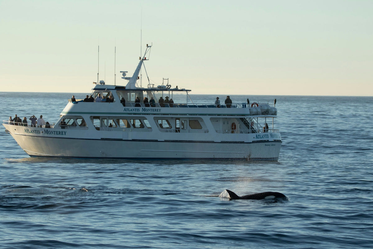 orca-beside-boat-jpeg