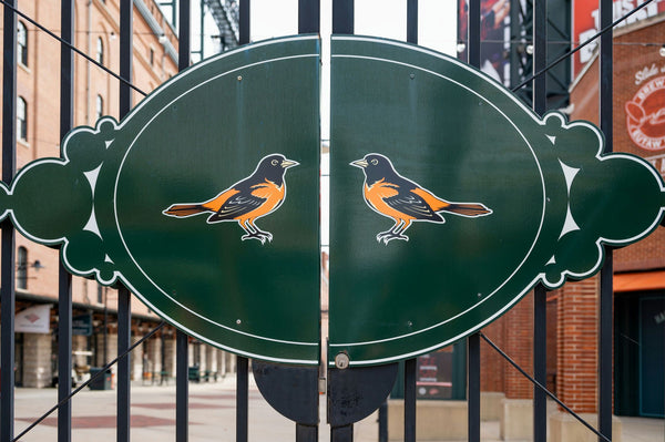 orioles game entrance