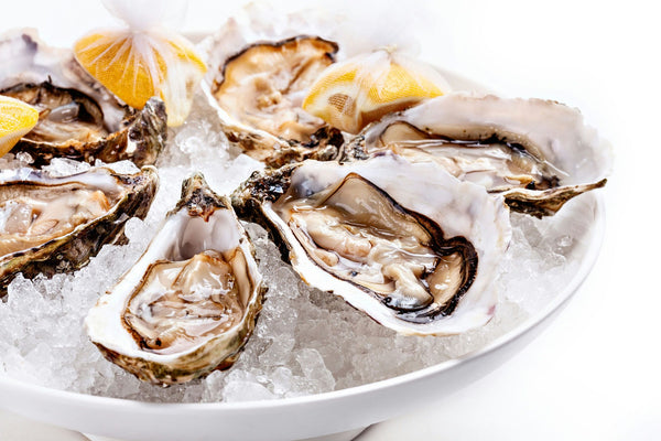 Oysters in ice 753.jpg