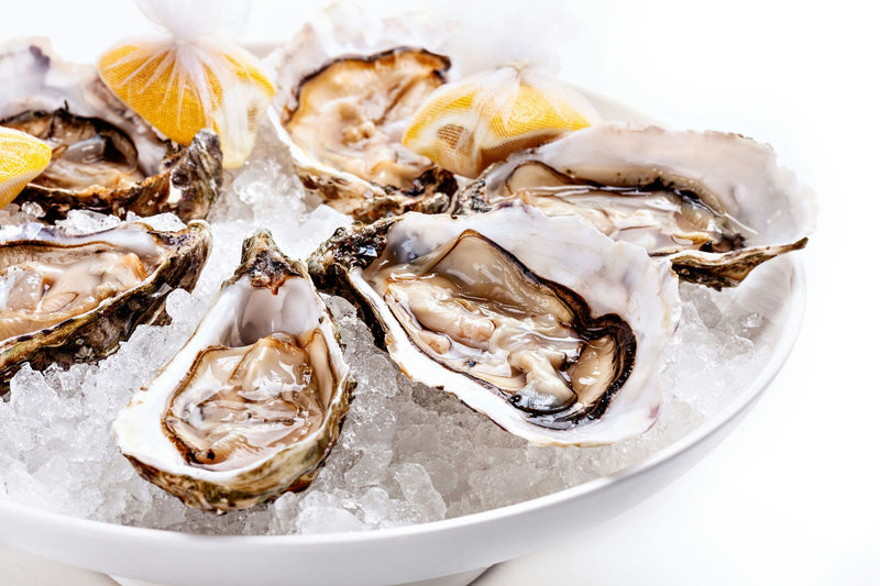 Oysters in ice 789.jpg