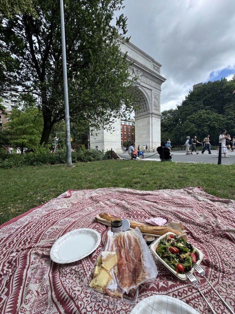 picnic in new york city