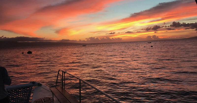 pink-sky-jpg