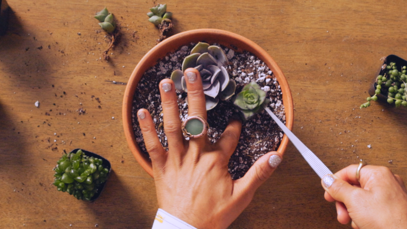 planting