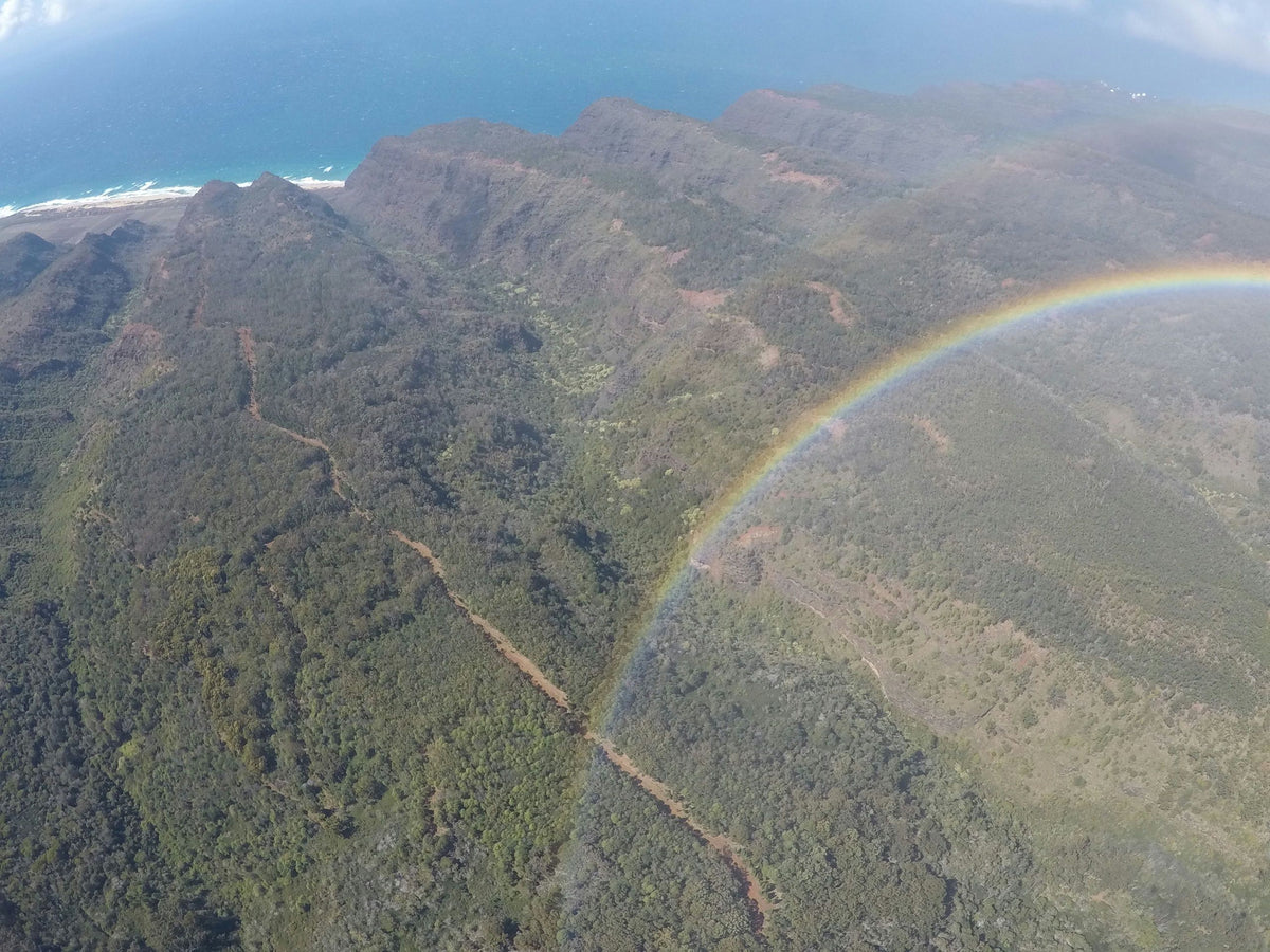 private-kaua-i-airplane-tour-rainbow-jpeg