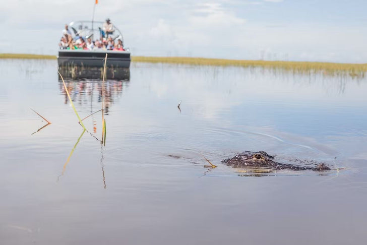 Everglades Airboat Tour & Animal Sanctuary Admission