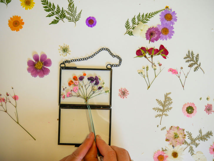 Framed Pressed Flowers DIY Kit