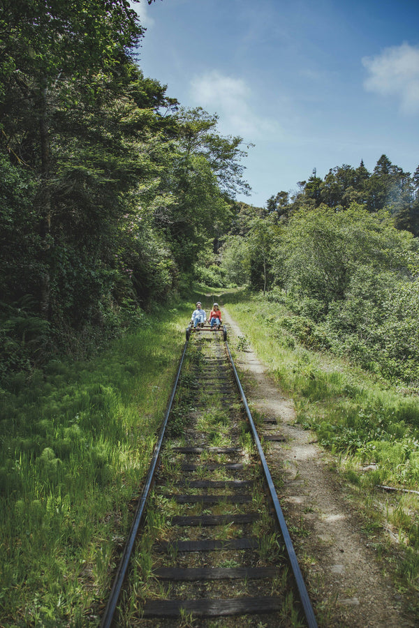 people in railbikes