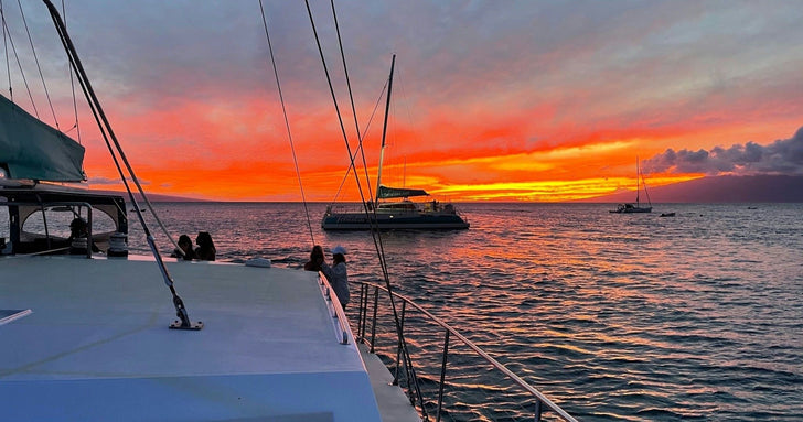 Premium Catamaran Sunset Dinner Sail in Maui