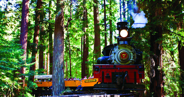 redwood-forest-train-jpeg