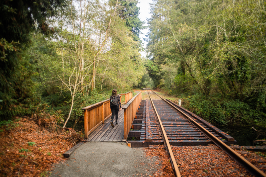 redwoodtrail bridge