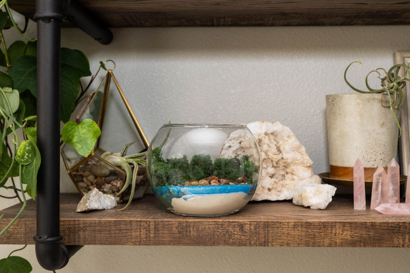 Resin Terrarium