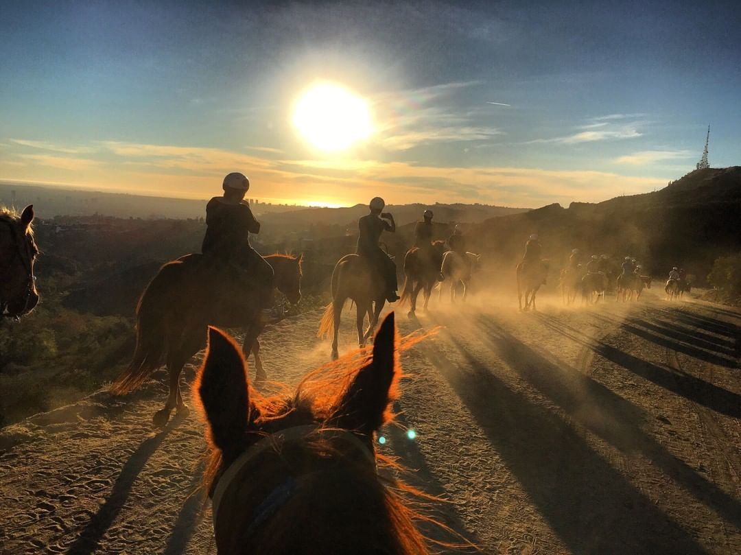 riders-against-sun