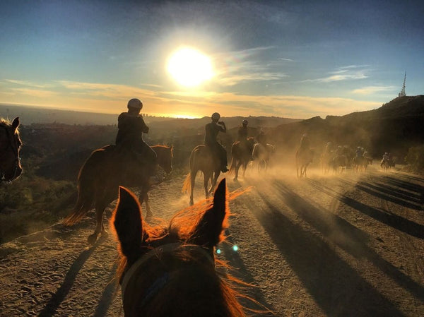 riders-against-sun