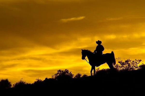 riding-a-horse-at-golden-hour