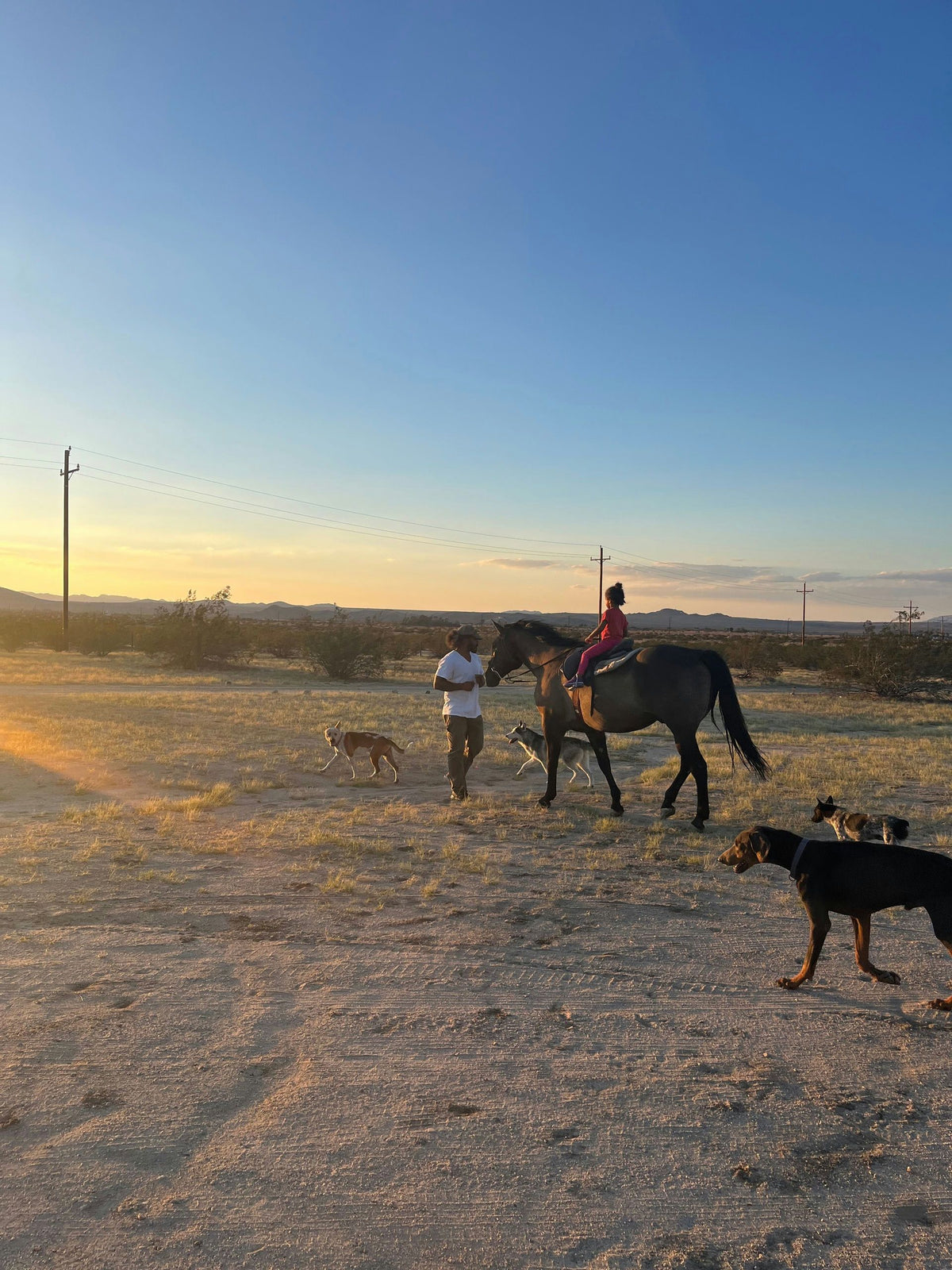 riding-a-pony-jpeg