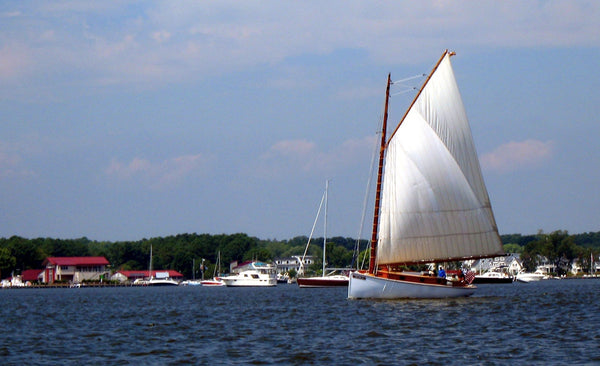 sail-selina-ii-st-michaels-md-romantic-sunset-cruise-intimate-weddings-elopement-packages-gay-weddings-sailing-lessons-beer-wine-seaside-wedding-beach-wedding-eastern-shore-chesapeak-bay-sailing-charters-jen6c-jpg