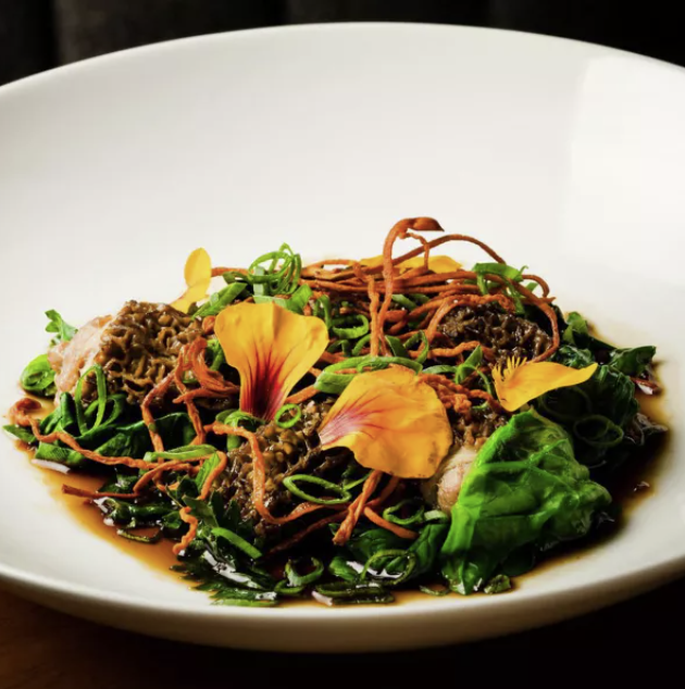 san-diego-dish