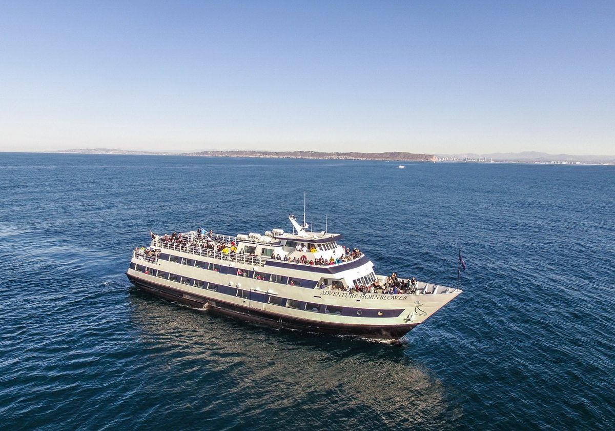 san-diego-whale-watching-cruise